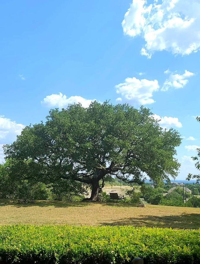 Hill Country Haute N Haus Relax And Renew Fischer Ngoại thất bức ảnh